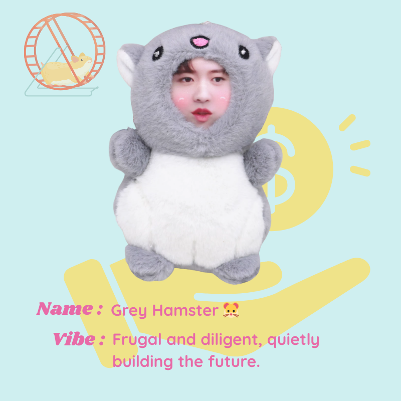 Person wearing a gray hamster costume with text and graphics on a light blue background. Grey Hamster - Hamster. Vibe : Frugal and diligent, quietly building the future. Custom Gift-Personalized Talking Photo Keychain, gift for couples, ift for boyfriend / girlfriend long-distance relationship gift meaningful keepsake