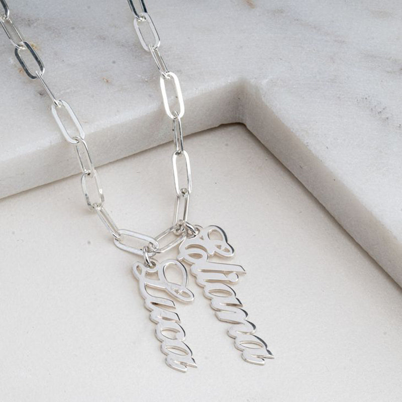 Silver necklace with leaf-shaped charms on a light background. Stainless Steel Name Jewelry. Custom Gift-Personalized. gift for boyfriend / girlfriend. long-distance relationship gift meaningful keepsake. Memory gift. Christmas couple gift. Birthday Gift. Double Name Drop Necklace (Paperclip Chain)