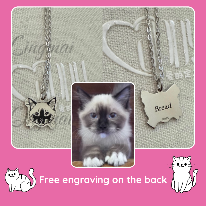 Cat-themed necklace with a photo of a cat and 'Bread' pendant on a pink background. A photo of a cat, matched with a custom cat pendant. The front features the cat’s shape, and the back can be engraved with the cat’s name as a keepsake—making it the perfect pet remembrance gift.