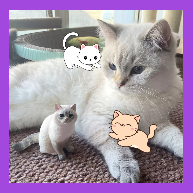 Real white cat lying on a carpet with small cats 3D printed figurine superimposed. Memory gift, Pet lovers, Personalized 3D printed dog figurine, pet memory keepsake, Custom 3D printed cat figurine, cherished pet gift, beloved pet, Perfect memory gift
